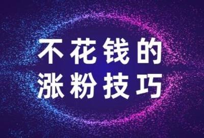 如何快速涨12个粉丝?掌握这些技巧,轻松实现突破