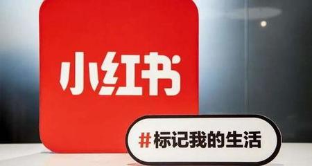 一个粉丝多久能涨上去?揭秘如何快速增加你的社交媒体粉丝数