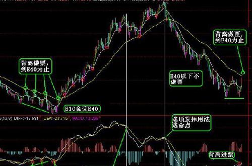 30天实战指南|从0到1000精准粉丝的裂变式增长路径