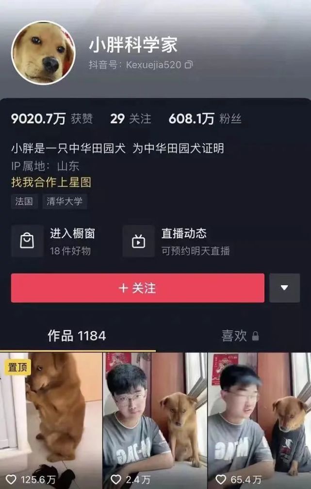 30天粉丝破万！抖音运营的流量密码全解析