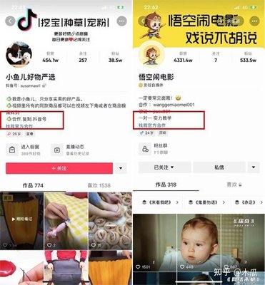 抖音粉丝量决定收入？揭秘1000粉到100万粉的变现密码