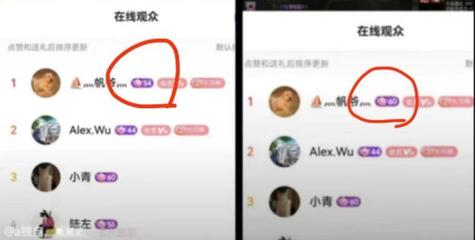 抖音免费涨粉秘籍:不花一分钱也能打造万人粉丝团