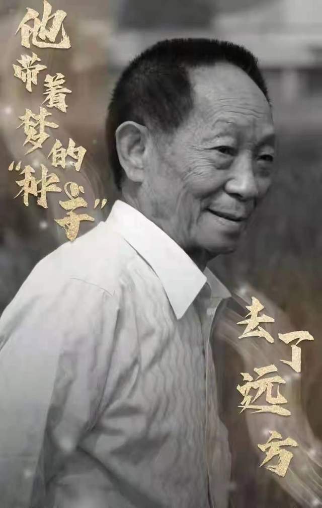 抖音千万粉丝背后:数据泡沫与真实流量的博弈