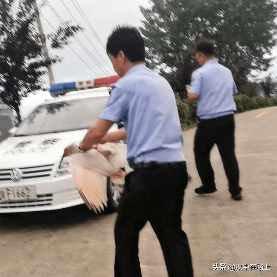 当「点赞商城」遇上抖音：流量变现的黄金公式，普通人也能月入六位数