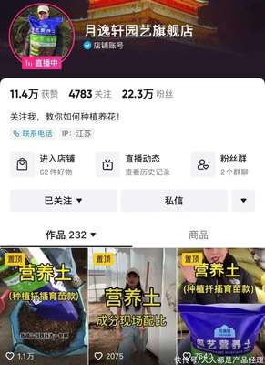 从0到百万粉丝：抖音号推广的实战密码