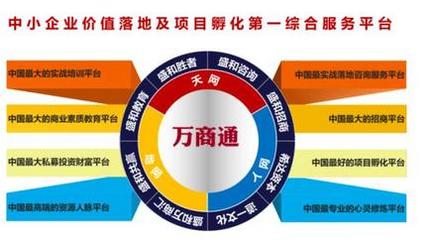 2023年企业推广必看!四大平台实战效果深度解析