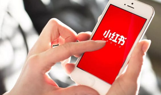效果推广:让每一分预算都长出「销售肌肉」的实战指南