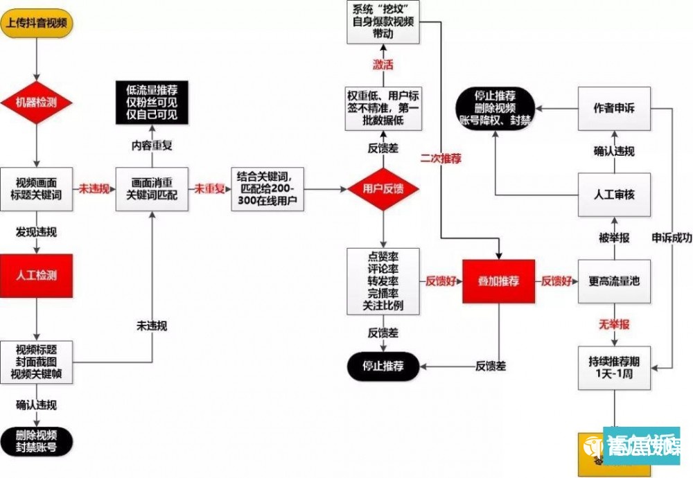 抖音完播率全解析：数据背后的流量密码