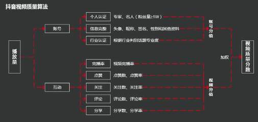 抖音完播率全解析：数据背后的流量密码