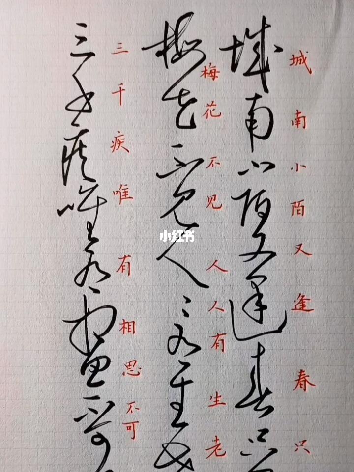 小红书照片怎么写字：轻松打造精致图片的秘籍