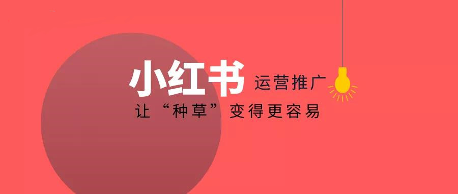 如何利用小红书高效种草产品，助力品牌爆火！