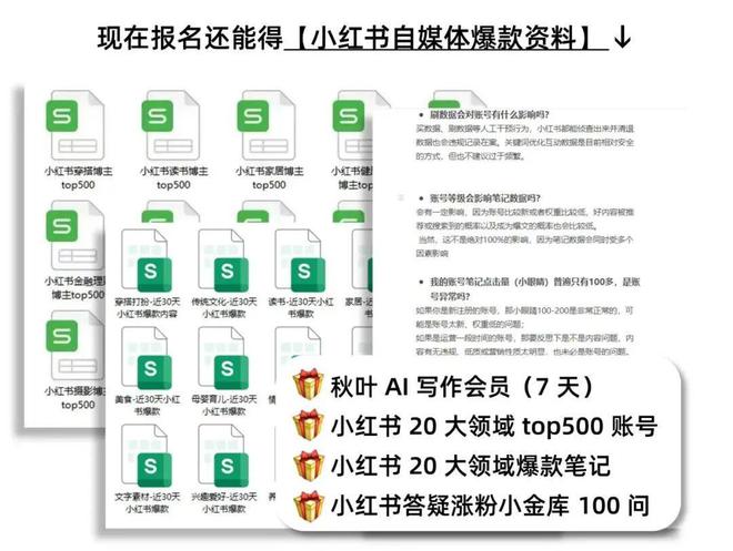 小红书怎么固定推荐——打造专属推荐的秘诀