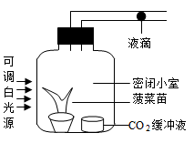 个人如何做微信视频号：开启你的内容创作之旅