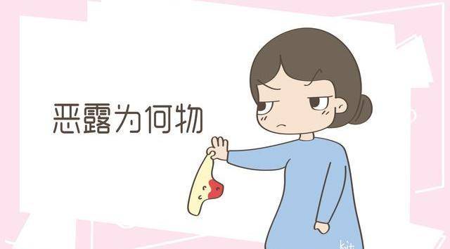 小红书四连攻略：轻松掌握涨粉技巧