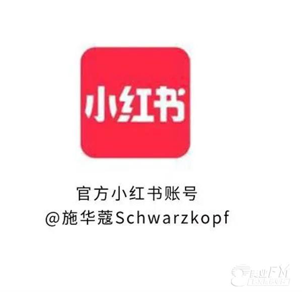 小红书上怎么卖手作？教你轻松开启手作变现之路