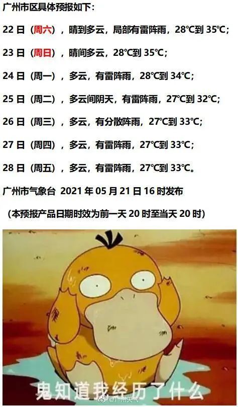 如何使用西瓜视频高效搜索内容