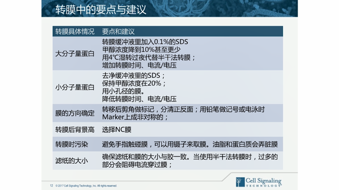 怎么养微博实时号：实操技巧与运营指南